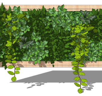 植物绿植墙su草图模型下载