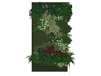 绿植植物 <em>绿植景观墙</em> su草图模型下载
