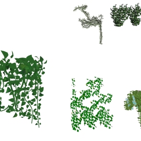 藤蔓 绿植 绿植墙组合su草图模型下载