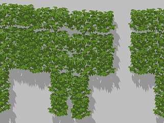 绿植墙 装饰植物 su草图模型下载