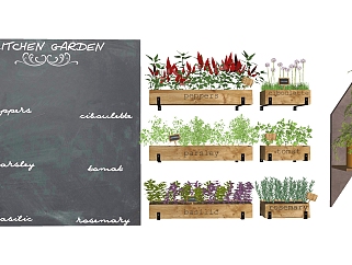 装饰植物组合，植物<em>墙</em>，木花槽su草图模型下载