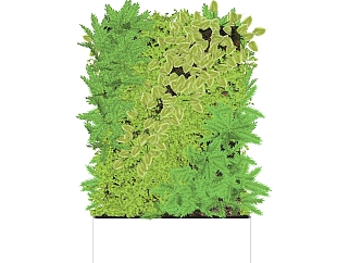 绿植装饰景观植物 绿植墙su草图模型下载