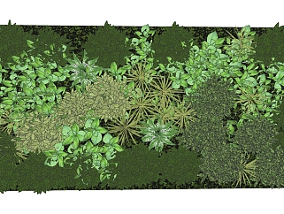 绿植装饰景观植物 绿植墙 su草图模型下载