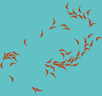 鱼群 游鱼模型su草图模型下载