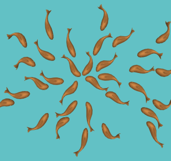 游鱼 鱼群组合模型su草图模型下载