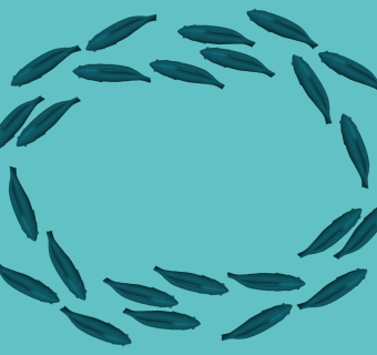 鱼群组合模型 雕塑小品su草图模型下载