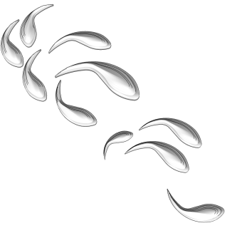 鱼群组合模型 雕塑小品su草图模型下载