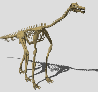 动物博物馆恐龙化石摆件su草图模型下载