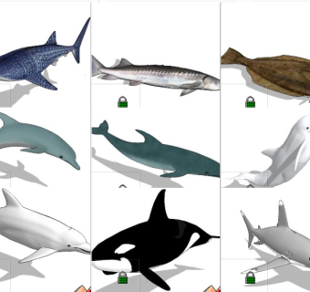 海洋动物 海豚 鲨鱼 鲸鱼 su草图模型下载