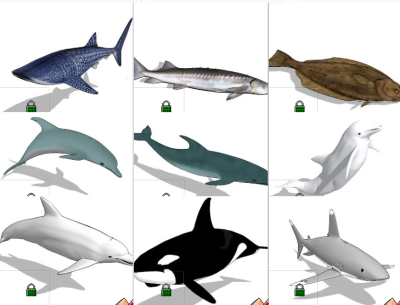 海洋动物 海豚 鲨鱼 鲸鱼 su草图模型下载