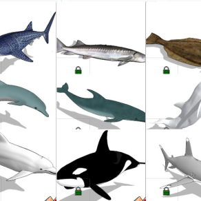 海洋动物 海豚 鲨鱼 鲸鱼 su草图模型下载