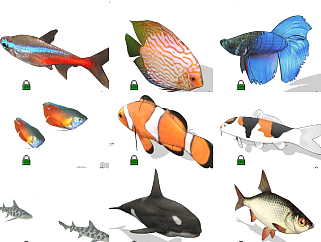 海洋动物<em>热带</em>鱼 小丑鱼动物模型su草图模型下载