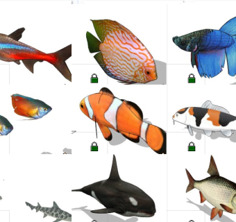 海洋动物热带鱼 小丑鱼动物模型su草图模型下载