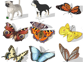 动物宠物狗 蝴蝶动物模型组合su草图模型下载