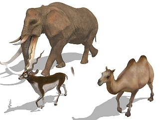 动物 大象 骆驼 <em>小鹿</em>动物模型su草图模型下载