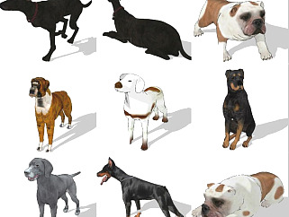 宠物动物狗 斑点狗动物模型su草图模型下载