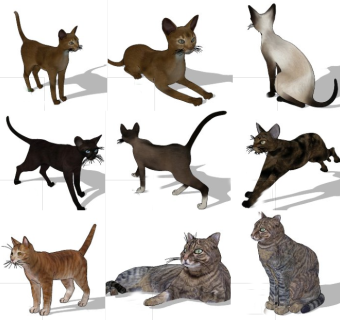 宠物动物猫咪动物模型su草图模型下载