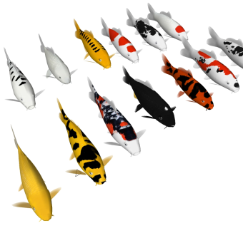 热带鱼 小金鱼 白色的鱼 su草图模型下载