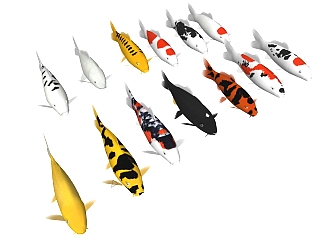 熱帶魚 小金魚 白色的魚 su草圖模型下載