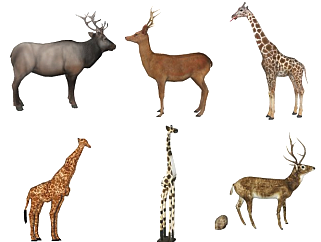 梅花鹿 长颈鹿动物模型组合su草图模型下载