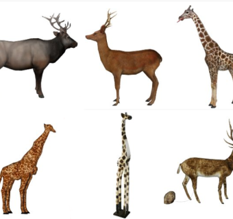 梅花鹿 长颈鹿动物模型组合su草图模型下载