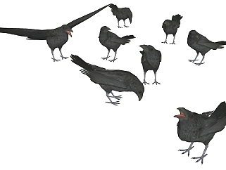 动物组合 老鹰 鸟类动物  su草图模型下载