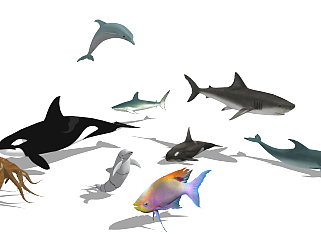 鲸鱼 热带鱼 鲨鱼 八爪鱼 su草图模型下载