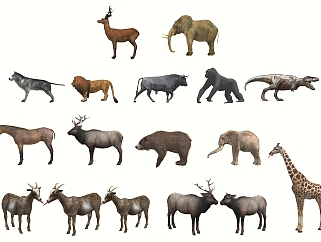 野生动物模型 su草图模型下载