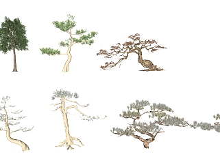 新中式景观树，<em>松树</em> su草图<em>模型</em>下载