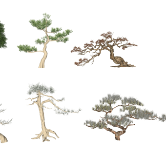 新中式景观树，松树 su草图模型下载