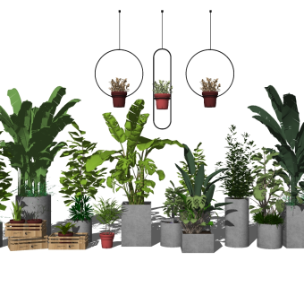 绿植盆栽，花盆芭蕉叶组合 su草图模型下载