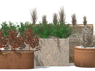 灌木红叶石楠盆栽花池，花槽灌木su草图模型下载