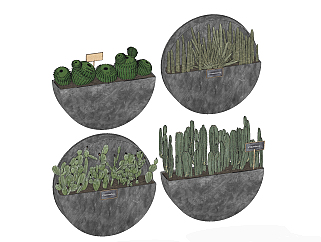 07北欧壁挂植物盆栽仙人掌，球，阳台植物绿植su草图模型下载