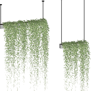 09现代绿植藤蔓，吊篮su草图模型下载