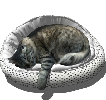 14现代猫咪睡姿，宠物猫su草图模型下载