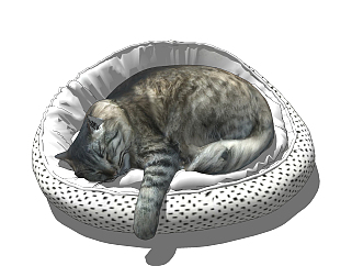 14现代猫咪睡姿，宠物<em>猫</em>su草图模型下载