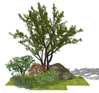 现代树，石头灌木草地