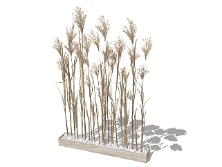 芦苇干枝盆栽,稻草