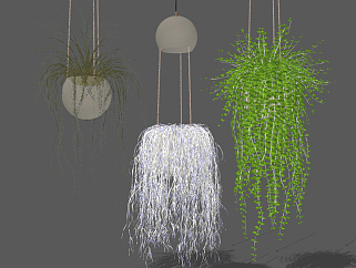 室内悬挂，吊装植物，吊篮吊灯