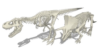 现代恐龙骨架组合