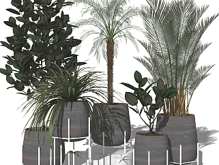 现代绿植盆栽，花盆，散尾葵椰子树su草图模型下载