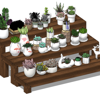 代多肉植物，花盆