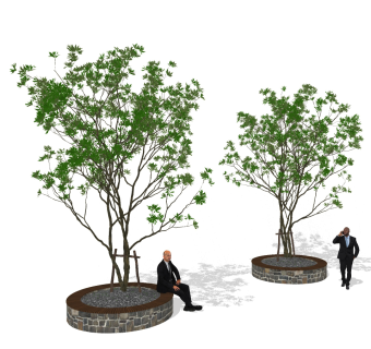 现代树，树池