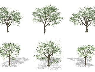 现代树，大树su草图模型下载