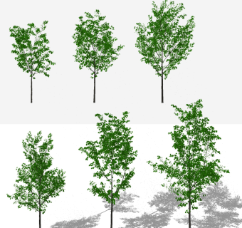 现代树，小树su草图模型下载