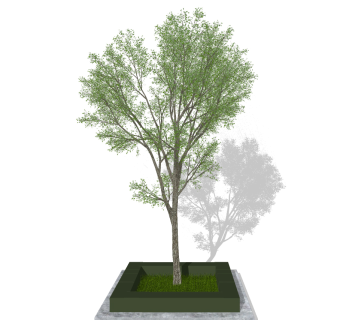 树，树池su草图模型下载