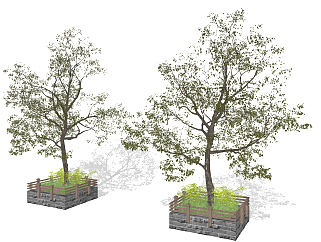 树，树池su草图模型下载