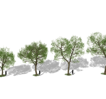 现代树su草图模型下载