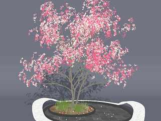 现代树，枫叶树su草图模型下载