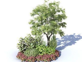 <em>现代树</em>，<em>景观</em>植物绿植su草图模型下载